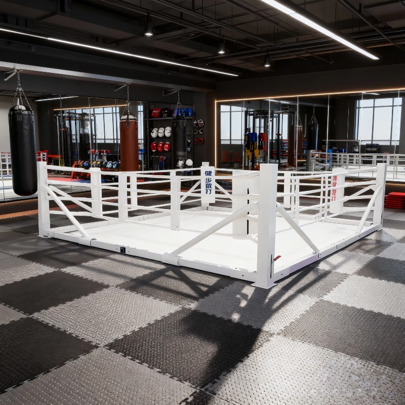 Opvouwbare boksringset, klein, - Home Gym Equipment Set recensie en prijs